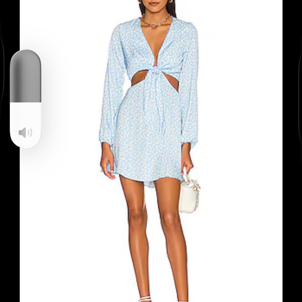 Resa Blue Floral Dress